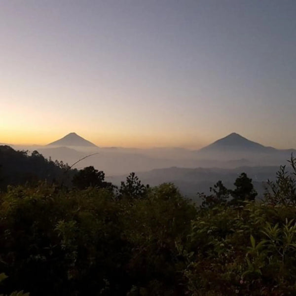 Catalan de Las Mercedes Guatemalan