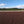 Campo Allegre Brazilian