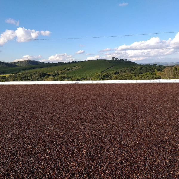 Campo Allegre Brazilian